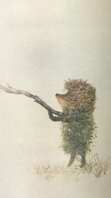 Das Hedgehog In Fog Russian Cartoon Wallpaper 360x640