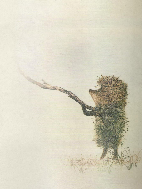 Обои Hedgehog In Fog Russian Cartoon 480x640