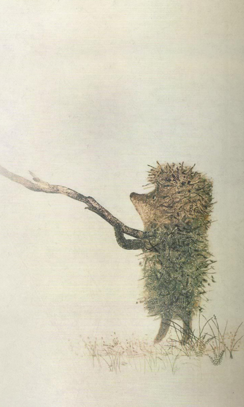 Das Hedgehog In Fog Russian Cartoon Wallpaper 480x800