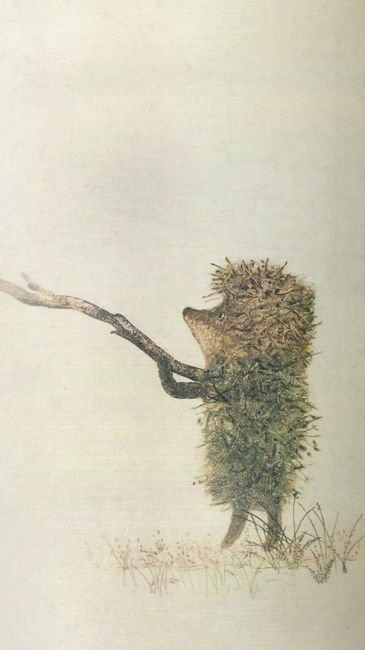 Sfondi Hedgehog In Fog Russian Cartoon 750x1334