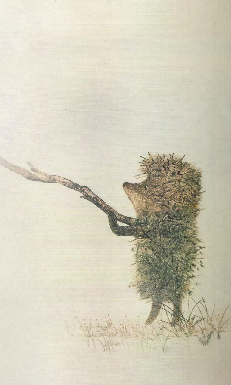 Das Hedgehog In Fog Russian Cartoon Wallpaper 768x1280