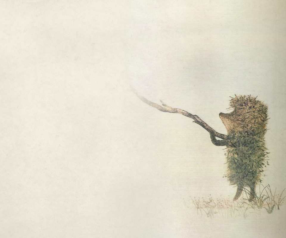 Hedgehog In Fog Russian Cartoon wallpaper 960x800