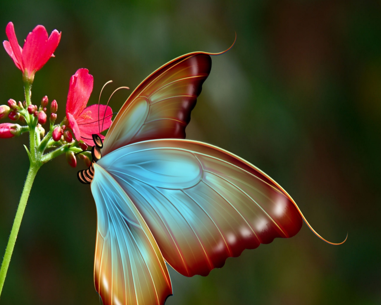 Big Butterfly Wallpaper for Fullscreen Desktop 1280x1024
