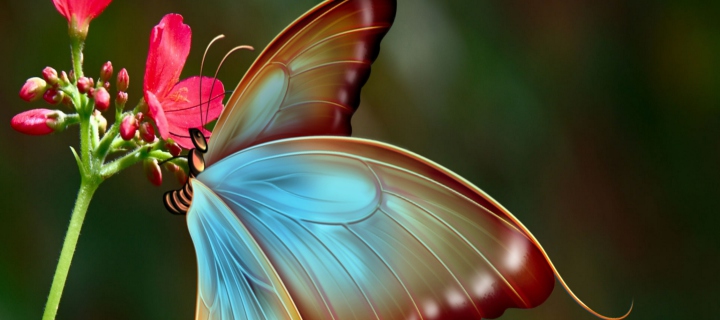 Big Butterfly screenshot #1 720x320