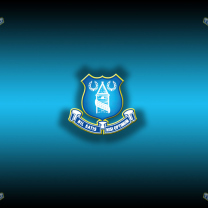 Fondo de pantalla Everton 208x208