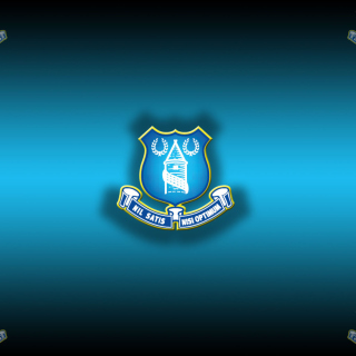 Everton - Obrázkek zdarma pro iPad mini 2