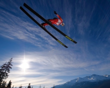 Sfondi Skiing Jump 220x176