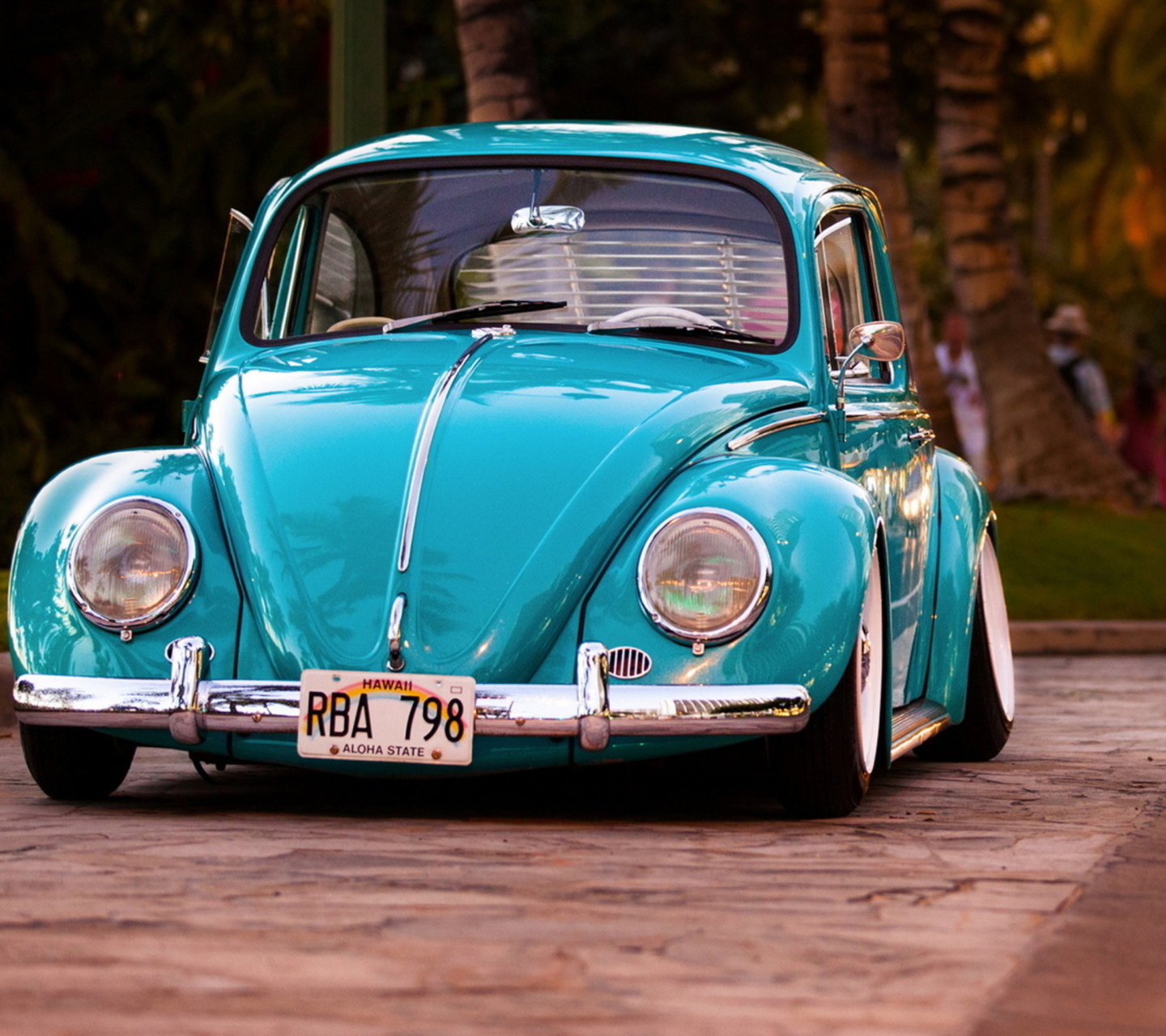 Fondo de pantalla Beetle 1440x1280