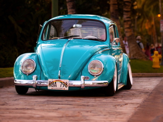 Fondo de pantalla Beetle 320x240