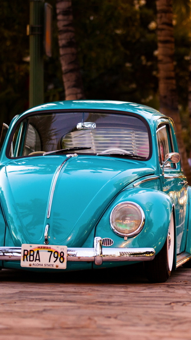 Beetle wallpaper 750x1334