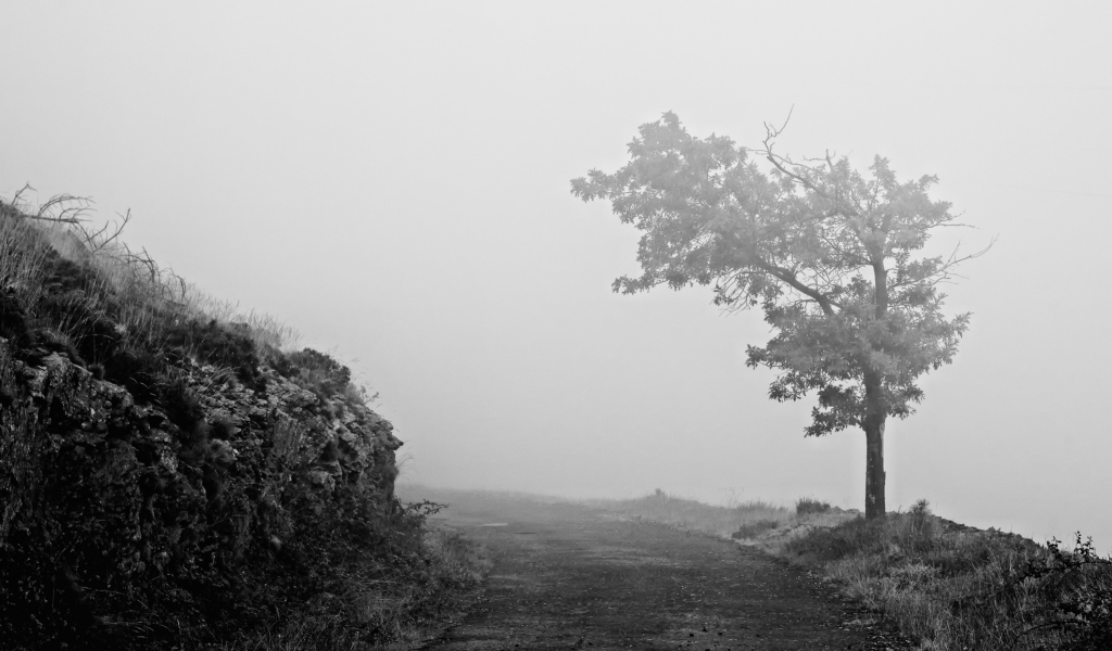Lonely Tree wallpaper 1024x600