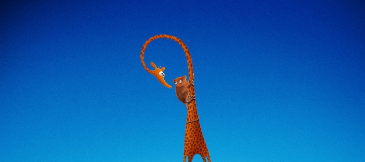 Обои Funny Giraffe With Friend 720x320