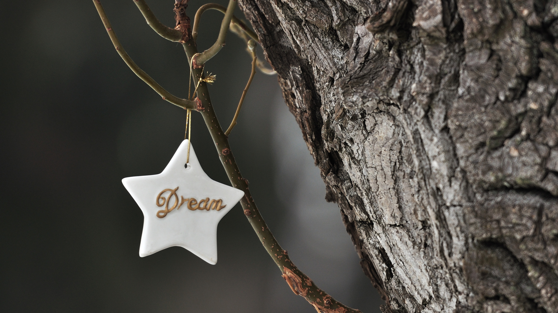 Das Dream Your Dream Wallpaper 1920x1080