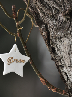Das Dream Your Dream Wallpaper 240x320