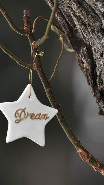 Dream Your Dream wallpaper 360x640