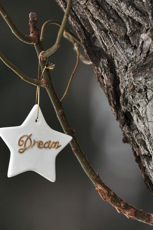 Dream Your Dream wallpaper 640x960