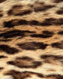 Das Animal Texture Wallpaper 128x160