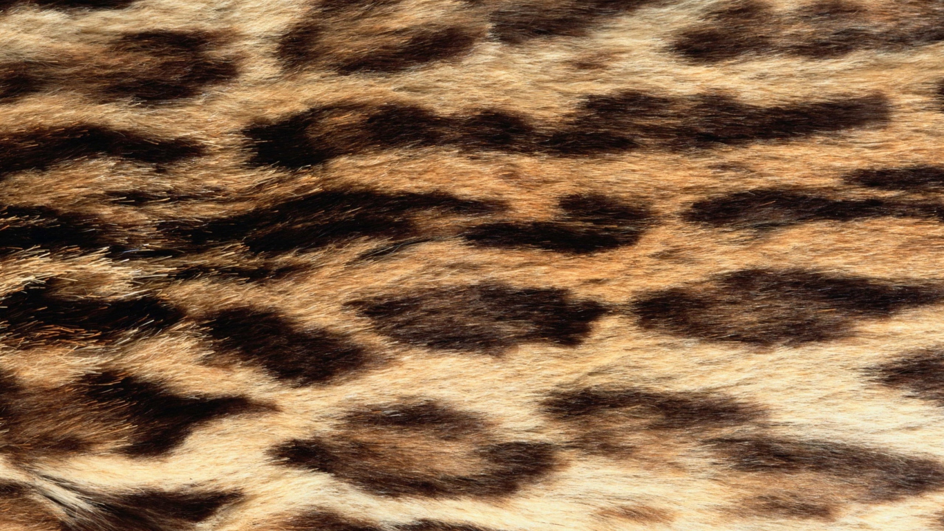 Das Animal Texture Wallpaper 1366x768