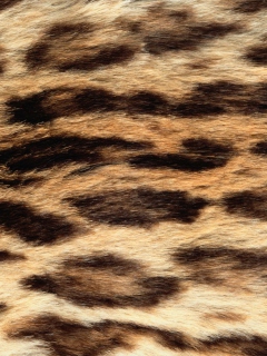 Das Animal Texture Wallpaper 240x320