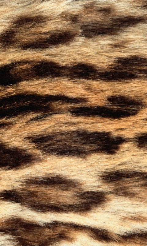 Das Animal Texture Wallpaper 480x800