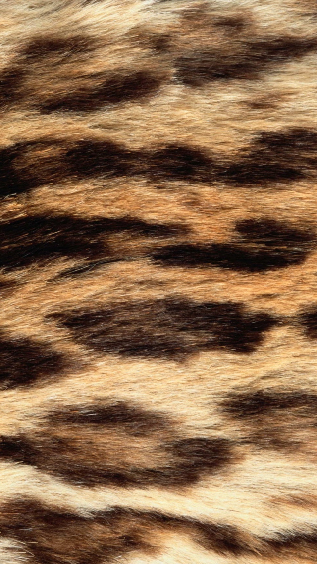 Animal Texture wallpaper 640x1136