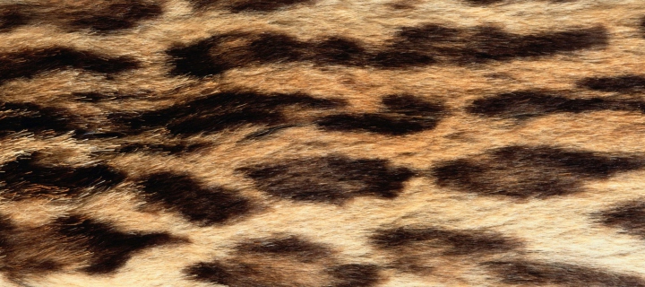 Animal Texture wallpaper 720x320