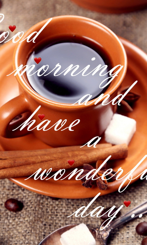 Have A Wonderful Day wallpaper 480x800
