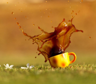 Free Coffee Picture for 208x208