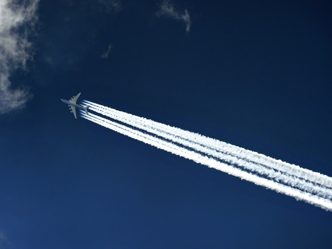 Screenshot №1 pro téma Airplane In Sky 1152x864