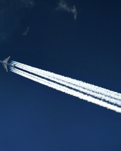 Airplane In Sky wallpaper 176x220