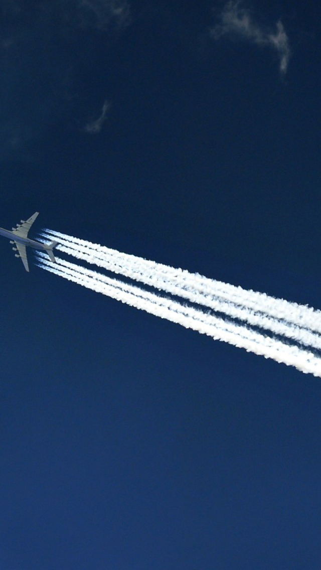 Обои Airplane In Sky 640x1136
