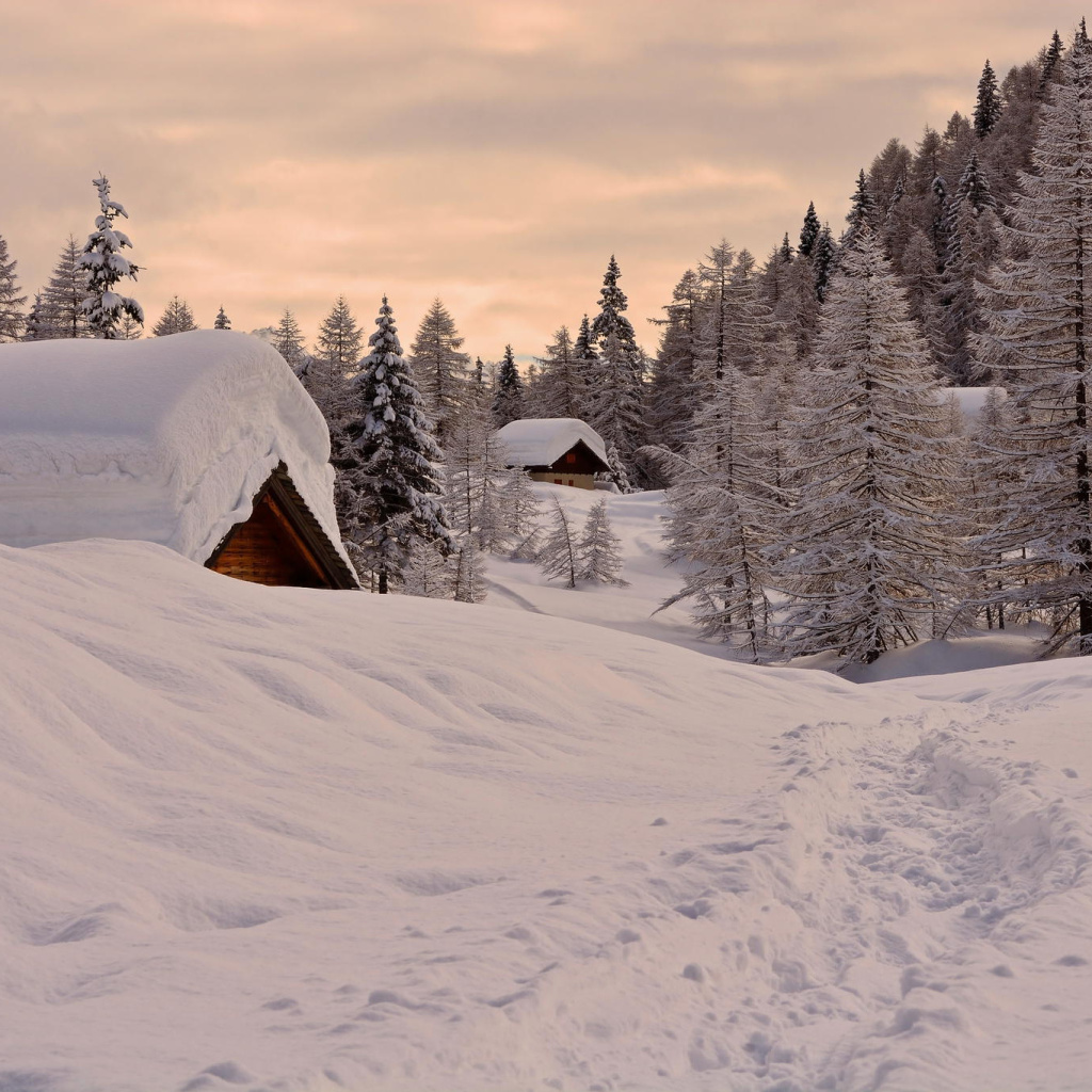 Snowfall in Village wallpaper 1024x1024