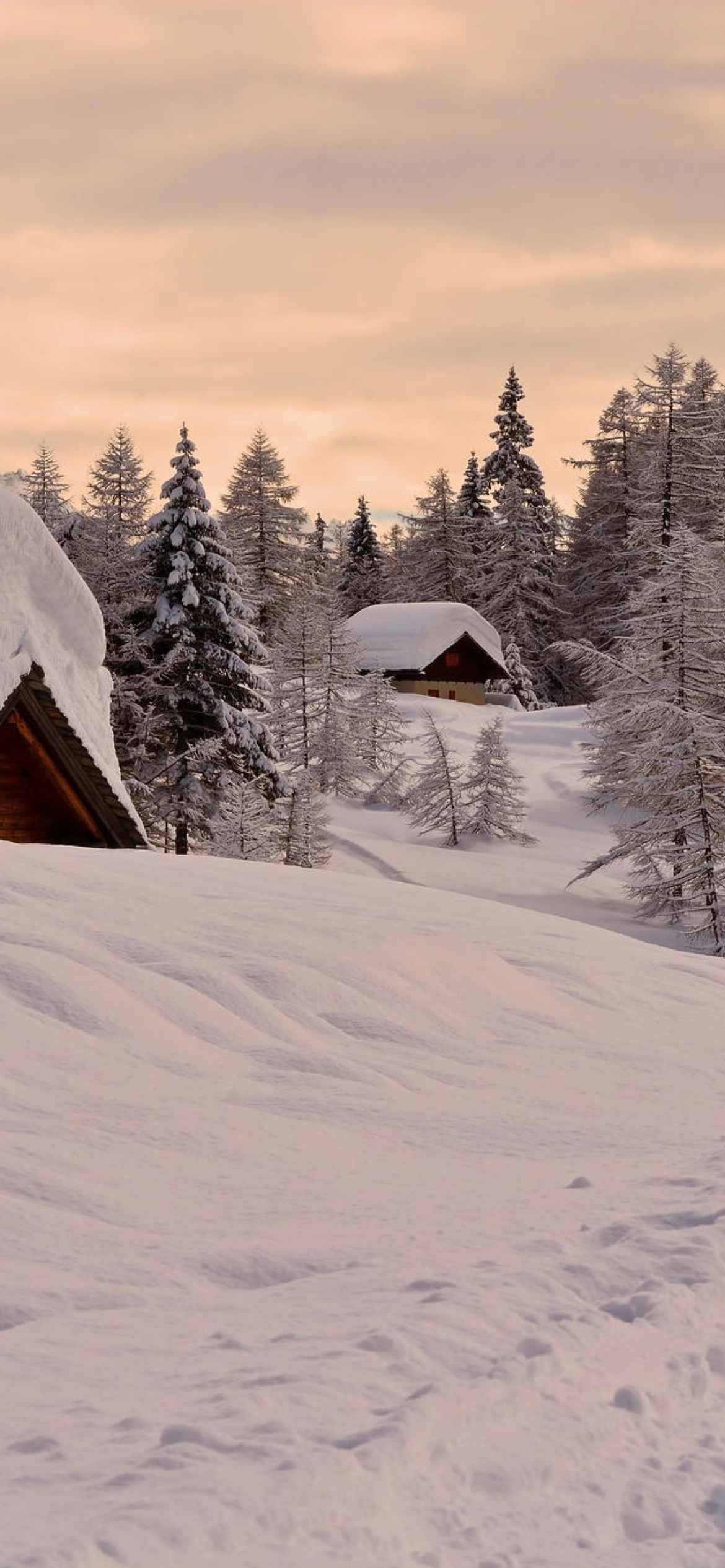 Snowfall in Village wallpaper 1170x2532