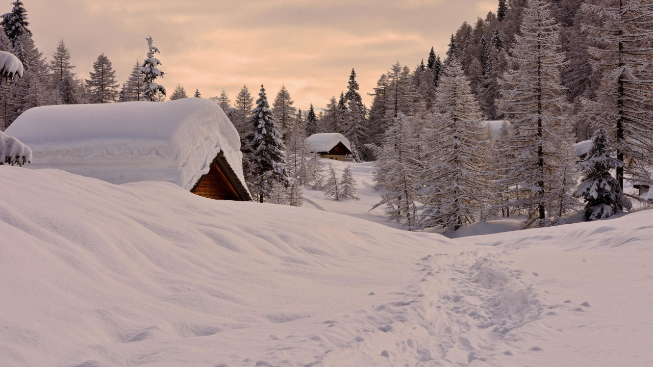 Snowfall in Village wallpaper 1280x720