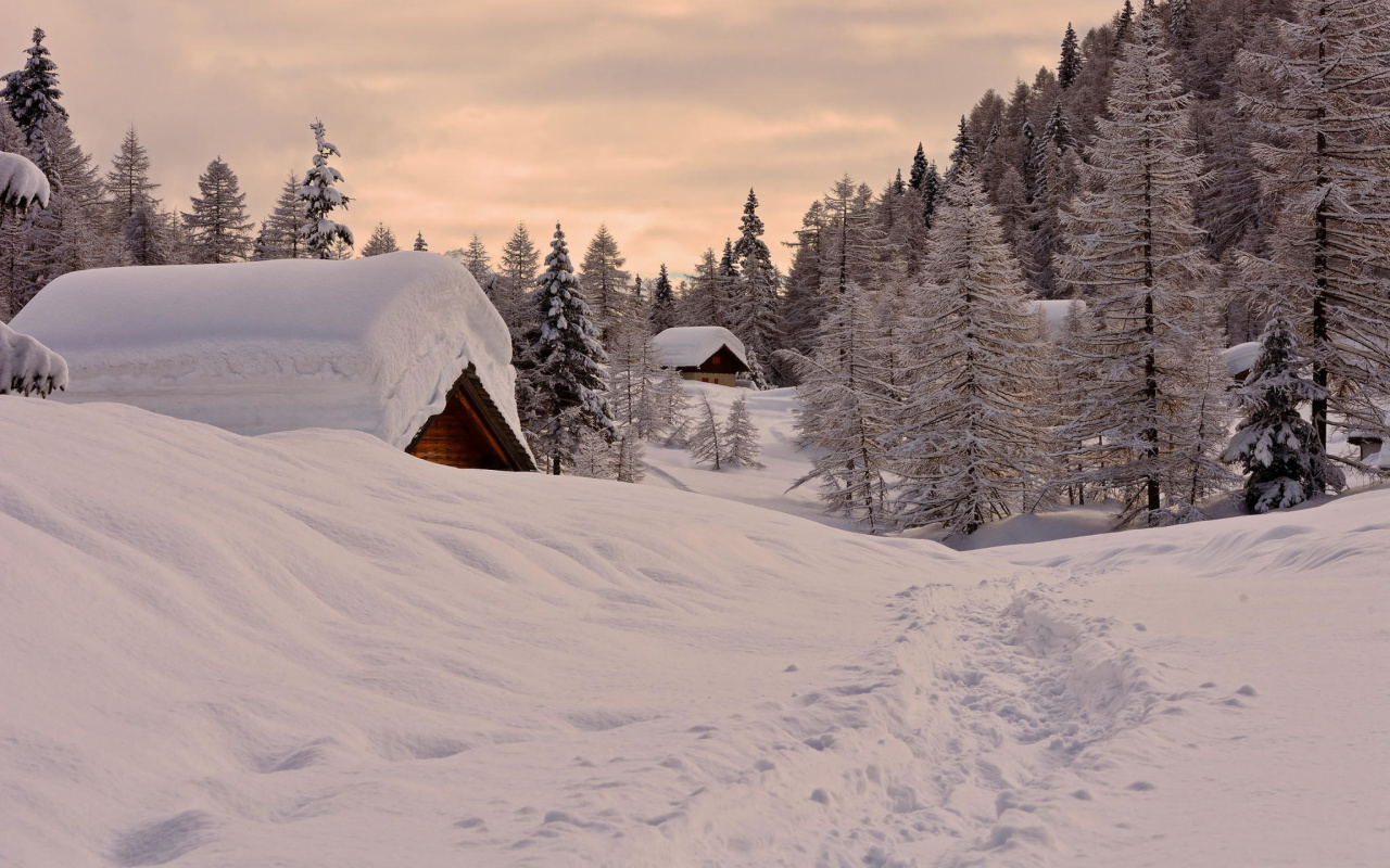 Snowfall in Village wallpaper 1280x800