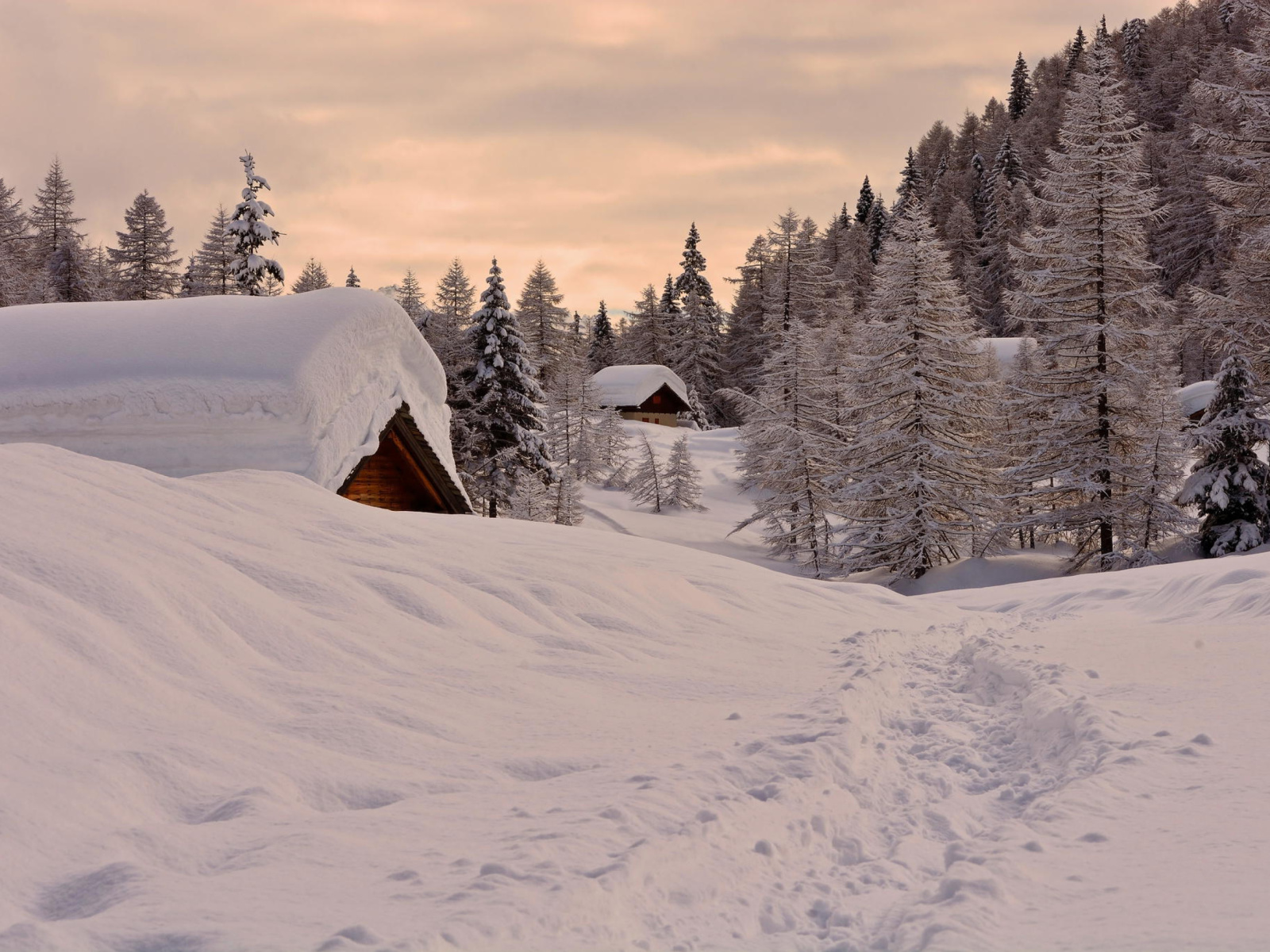 Snowfall in Village wallpaper 1600x1200