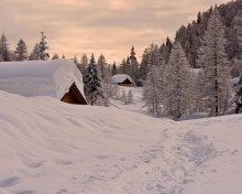 Snowfall in Village wallpaper 220x176