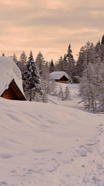 Snowfall in Village wallpaper 360x640