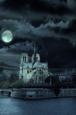 Das Notre Dame De Paris At Night Wallpaper 320x480