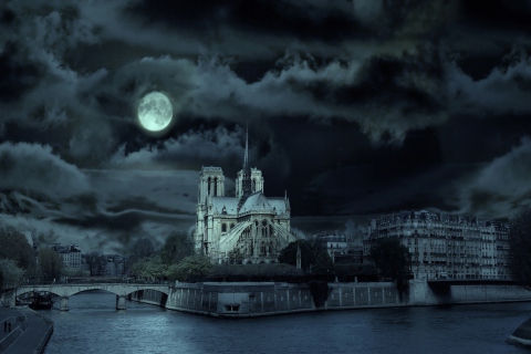 Notre Dame De Paris At Night wallpaper 480x320