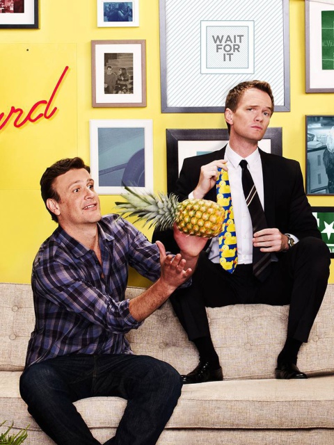 Sfondi How I Met Your Mother Party 480x640