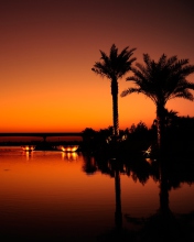 Dubai Night screenshot #1 176x220