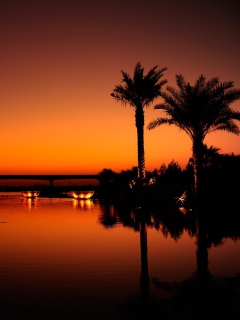 Dubai Night screenshot #1 240x320