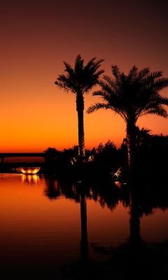 Dubai Night screenshot #1 240x400