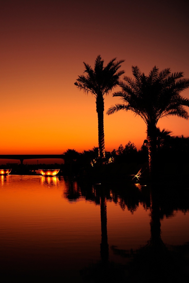 Dubai Night screenshot #1 640x960