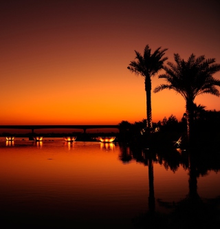 Dubai Night - Obrázkek zdarma pro iPad 2
