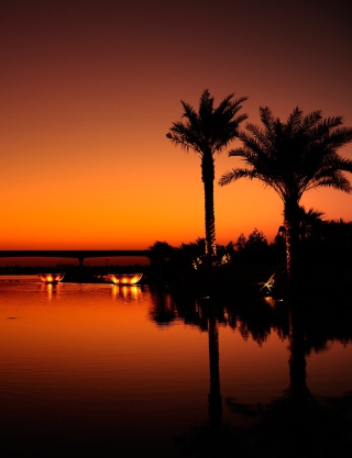 Dubai Night sfondi gratuiti per iPhone 6 Plus