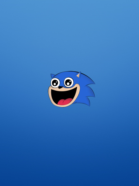 Fondo de pantalla Sonic The Hedgehog 480x640