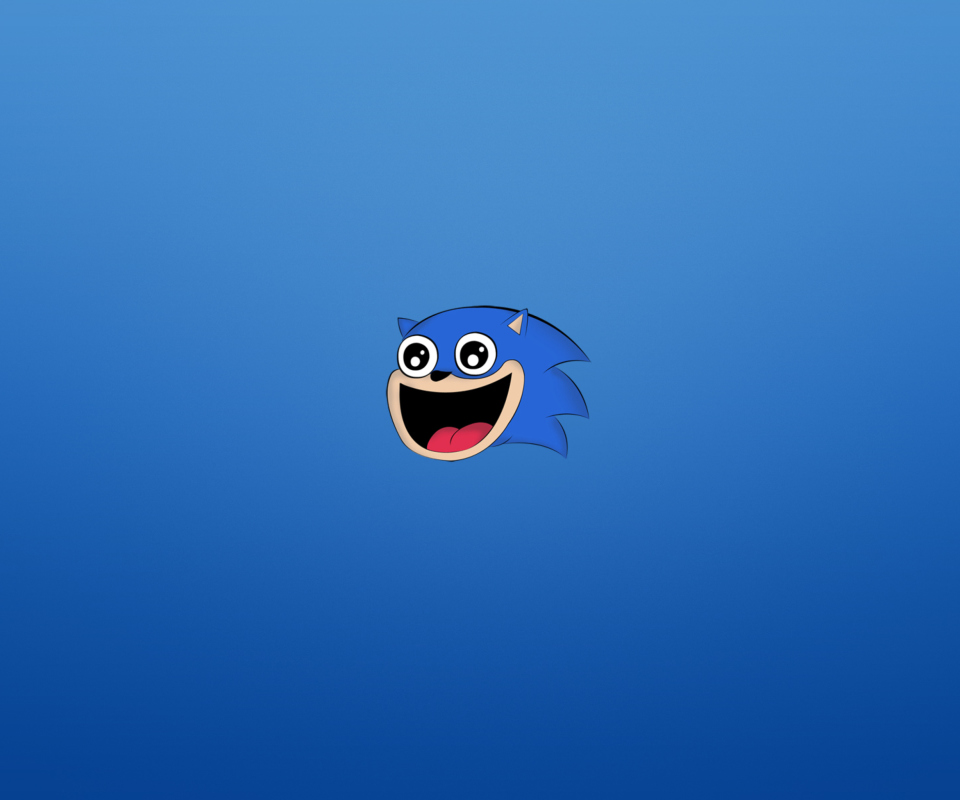 Das Sonic The Hedgehog Wallpaper 960x800