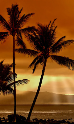 Acapulco Sunset screenshot #1 240x400